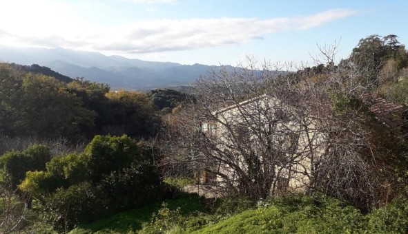 Logement tudiant T2 à Oletta (20232)