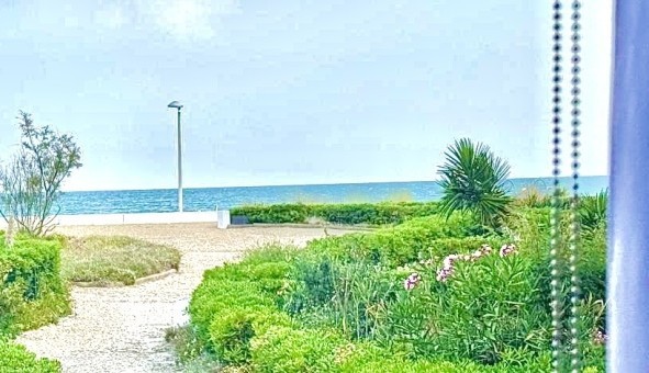 Logement tudiant T2 à Palavas les Flots (34250)