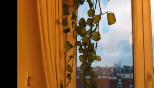 Logement �tudiant T2 &agrave; Paris 11�me arrondissement (75011)