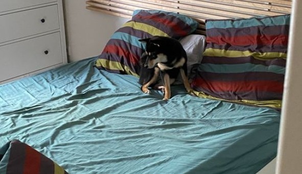 Logement �tudiant T2 &agrave; Paris 14�me arrondissement (75014)