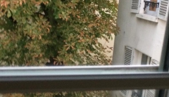 Logement tudiant T2 à Paris 17me arrondissement (75017)