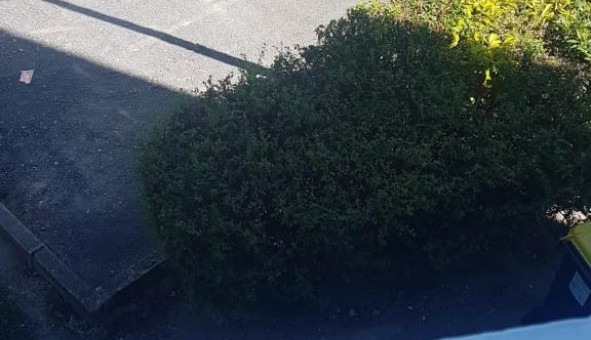 Logement tudiant T2 à Reims (51100)