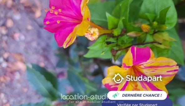 Logement tudiant T2 à Ris Orangis (91000)