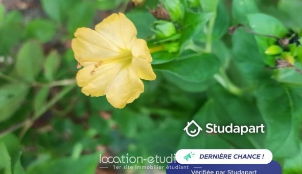 Logement tudiant T2 à Ris Orangis (91000)