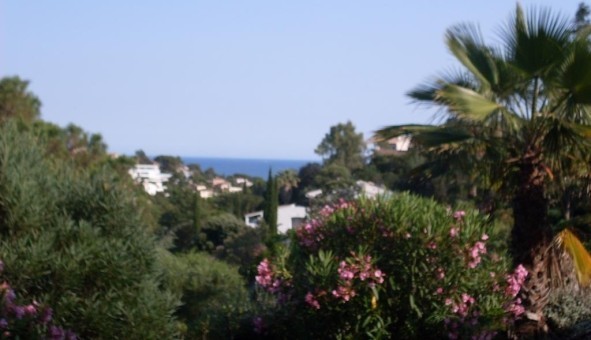 Logement tudiant Location T2 Vide Roquebrune sur Argens (83520)