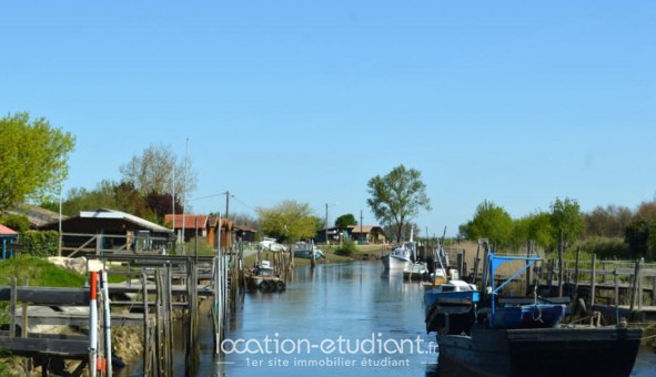 Logement tudiant Location T2 Vide Saint Vivien de Mdoc (33590)