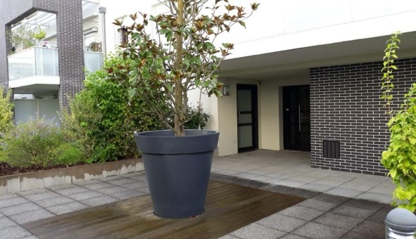 Logement tudiant T2 à Strasbourg (67000)