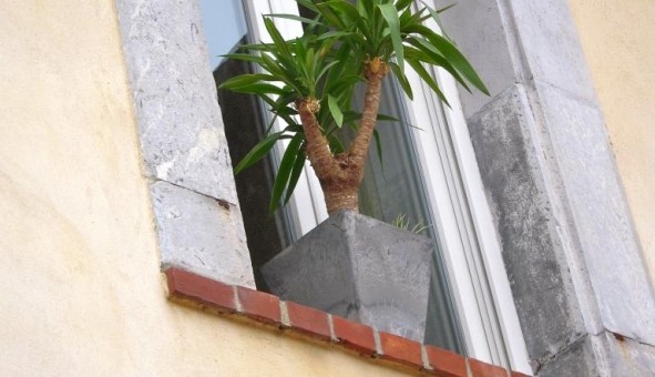 Logement tudiant T2 à Tarbes (65000)