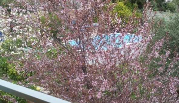 Logement tudiant T2 à Toulon (83200)