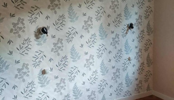 Logement tudiant T2 à Tours (37000)