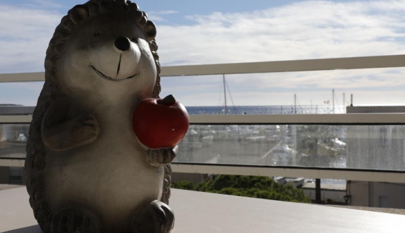 Logement �tudiant Location T2 Vide Vallauris (06220)