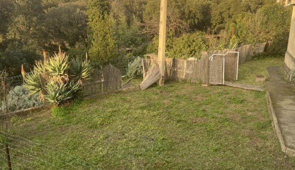 Logement �tudiant T3 &agrave; Ajaccio (20000)