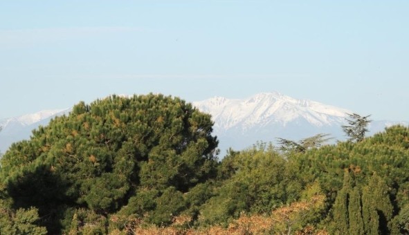 Logement �tudiant T3 &agrave; Al�nya (66200)