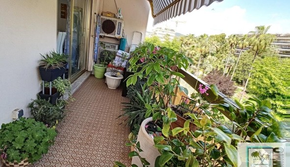 Logement tudiant Location T3 Vide Antibes (06160)