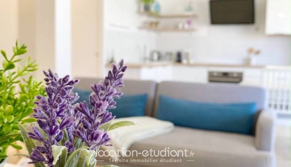 Logement �tudiant T3 &agrave; Antibes (06160)