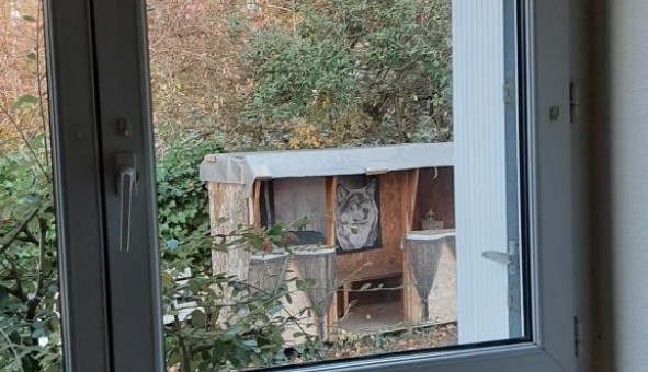 Logement tudiant T3 à Antran (86100)