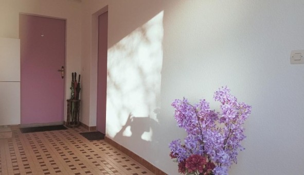 Logement �tudiant T3 &agrave; Antran (86100)