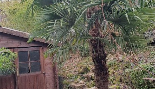 Logement �tudiant T3 &agrave; Armix (01510)