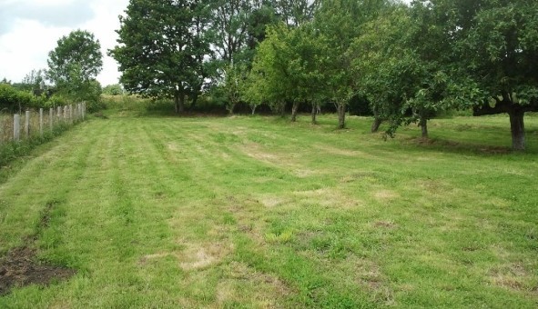 Logement �tudiant T3 &agrave; Arthon en Retz (44320)