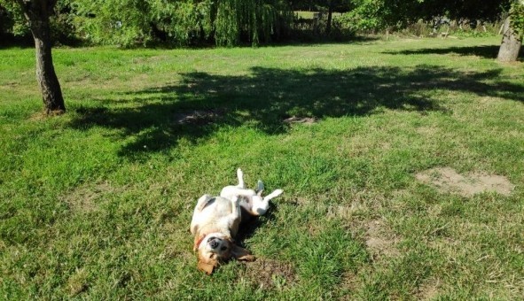 Logement �tudiant T3 &agrave; Arthon en Retz (44320)