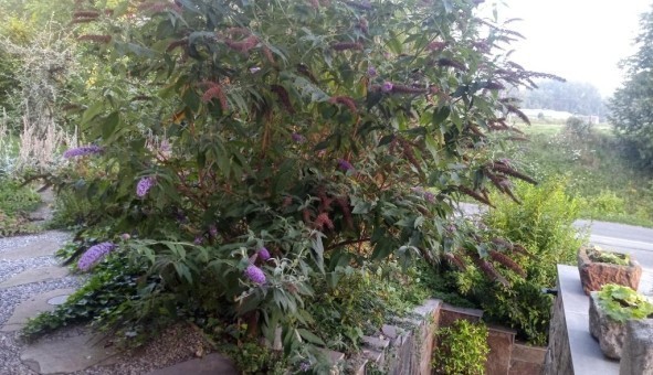 Logement tudiant T3 à Assevent (59600)