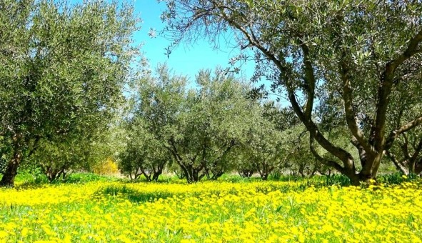 Logement �tudiant T3 &agrave; Aubagne (13400)