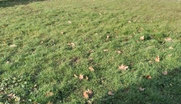 Logement �tudiant T3 &agrave; Aubiac (33430)