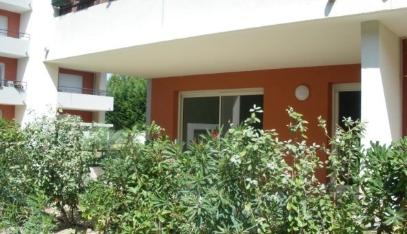 Logement tudiant T3 à Avignon (84000)