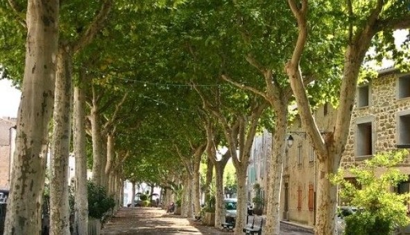 Logement �tudiant T3 &agrave; Azille (11700)