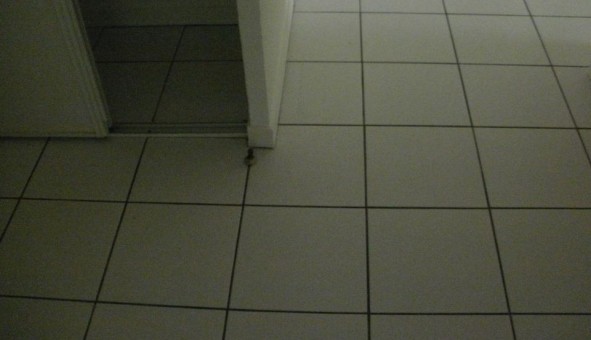 Logement �tudiant T3 &agrave; Barbey (77130)