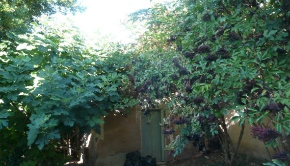 Logement tudiant T3 à Bdoin (84410)