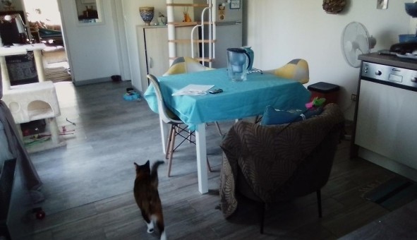 Logement étudiant Location T3 Vide Béhoust (78910)