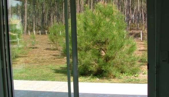 Logement �tudiant T3 &agrave; Belin B�liet (33830)