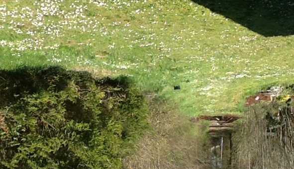 Logement �tudiant T3 &agrave; Bendorf (68480)