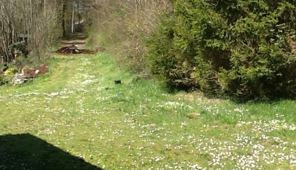 Logement �tudiant T3 &agrave; Bendorf (68480)