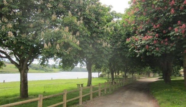 Logement �tudiant T3 &agrave; Beuzec Cap Sizun (29790)