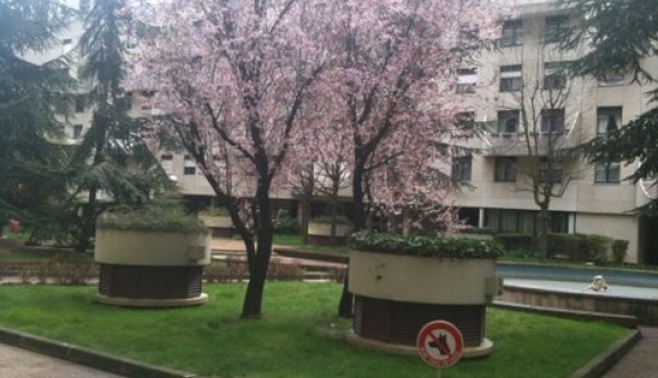 Logement tudiant T3 à Boulogne Billancourt (92100)