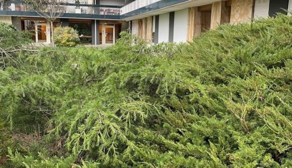 Logement �tudiant T3 &agrave; Boulogne Billancourt (92100)