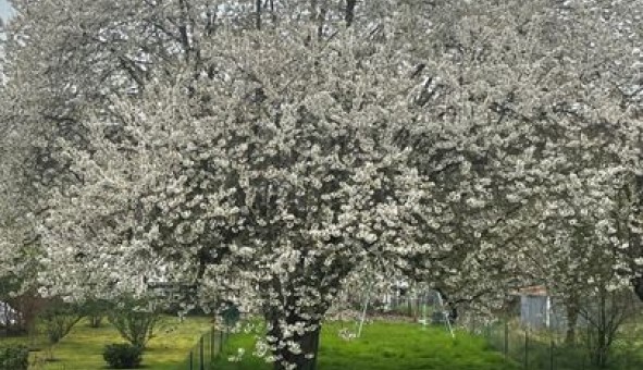 Logement �tudiant T3 &agrave; Carling (57490)