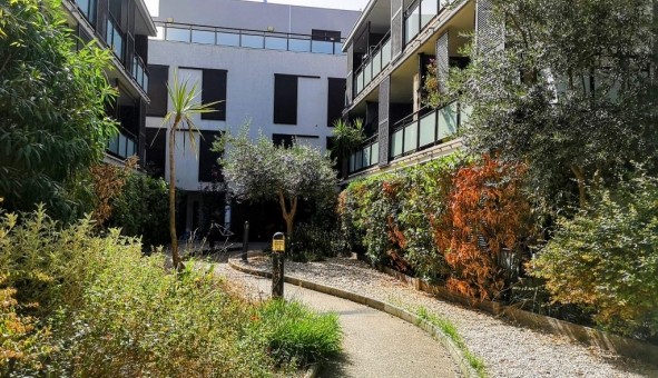 Logement �tudiant Location T3 Vide Castelnau le Lez (34170)