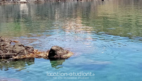 Logement �tudiant T3 &agrave; Cerb�re (66290)