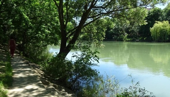 Logement �tudiant T3 &agrave; Champigny sur Marne (94500)