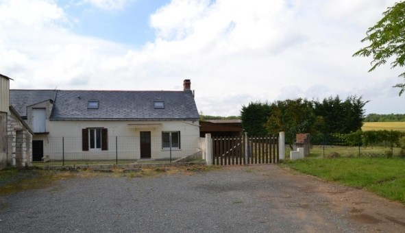 Logement �tudiant T3 &agrave; Ch�nehutte Tr�ves Cunault (49350)