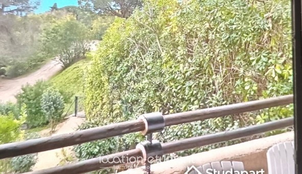 Logement tudiant T3 à Cogolin (83310)