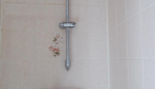 Logement tudiant T3 à Colmar (68000)