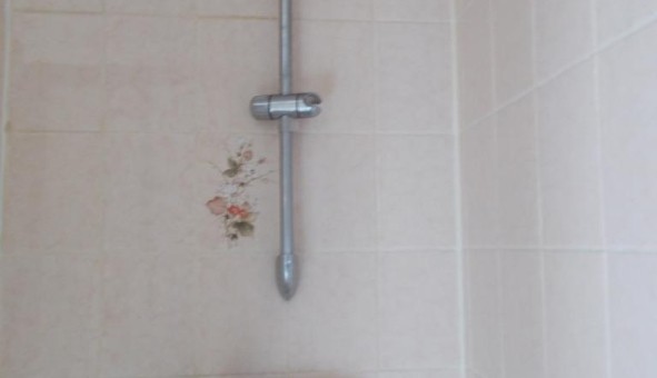 Logement tudiant T3 à Colmar (68000)