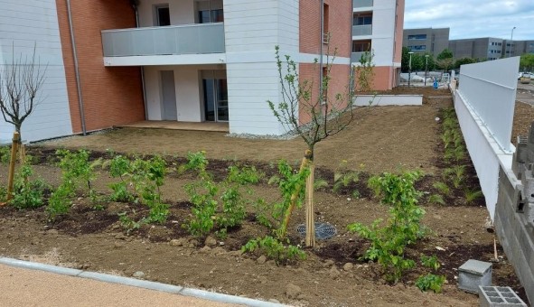 Logement �tudiant T3 &agrave; Colomiers (31770)