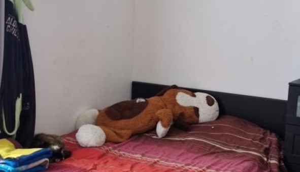 Logement tudiant T3 à Comines (59560)