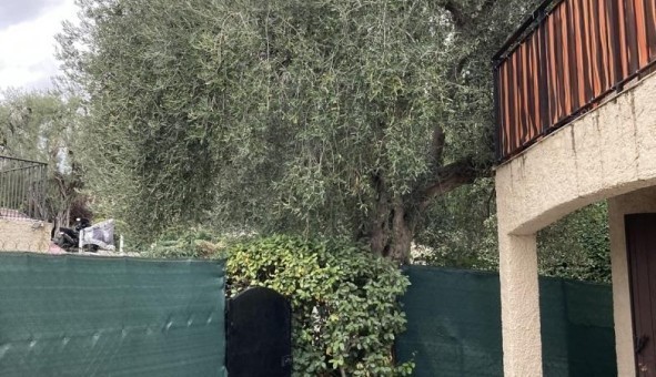 Logement tudiant T3 à Coursegoules (06140)