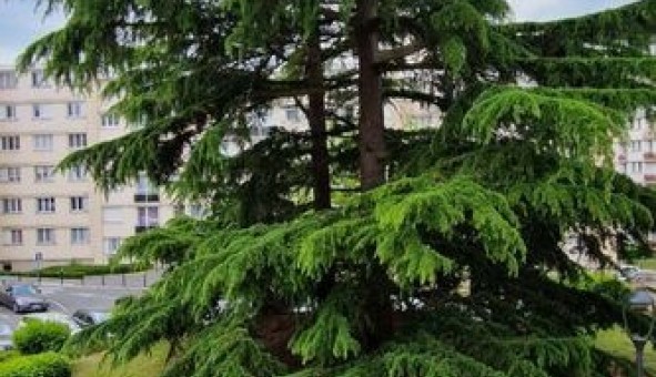 Logement �tudiant T3 &agrave; Fontenay le Fleury (78330)